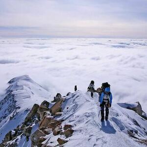 Jennifer Argiropoulos